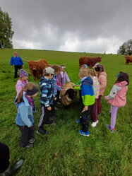 Little farmers - 2. B